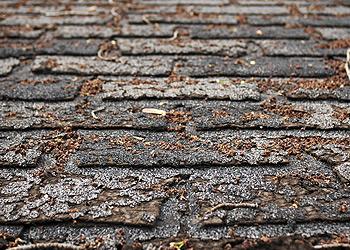 Affordable Roofing Images